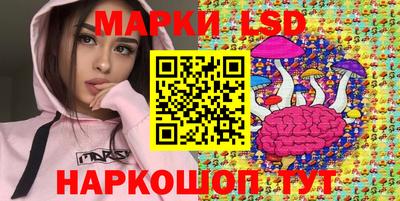 дурь Гай
